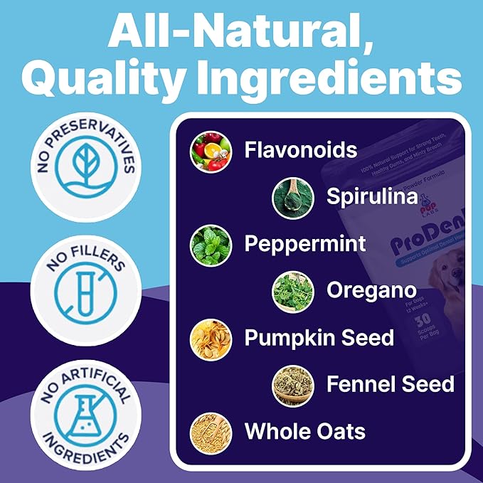 All-Natural and Expert-Formulated Dental Powder for Dogs, Dog Dental Supplement for Healthy Teeth and Against Leaky Gums for Dogs 12+ Weeks, Made in The USA with The Standards, 28 Serv