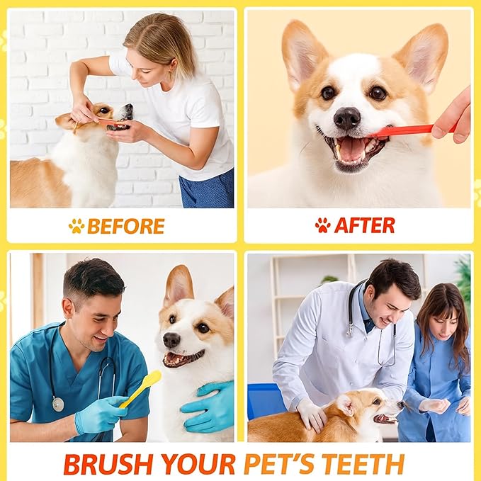 300 Pcs 8.66 Inch PP and Nylon Dual Head Dog Toothbrushes with Long Handle for Puppy Cat Pet Oral Cleaning and Dental Care in Assorted Colors