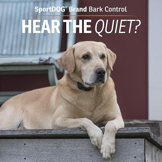 SportDOG Brand NoBark 10 Collar, Dog Bark Collars, Rechargeable, Programmable Bark Collar, Silent Partner Technology, Two Modes of Operation, Waterproof Collar (Black)