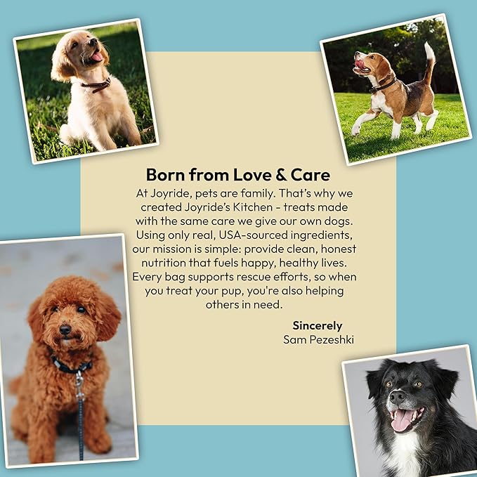 Joyride's Kitchen Freeze-Dried Beef Liver Dog Treats, Single Ingredient, All-Natural, Protein-Rich Dog Training Treats, Made in USA - Perfect for Picky Eaters, Supports Rescue Dogs