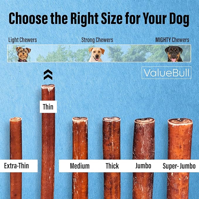 ValueBull Bully Sticks for Small Dogs, Thin 6 Inch, 200 Count Bulk Pack - All Natural Dog Treats, 100% Beef Pizzles, Single Ingredient
