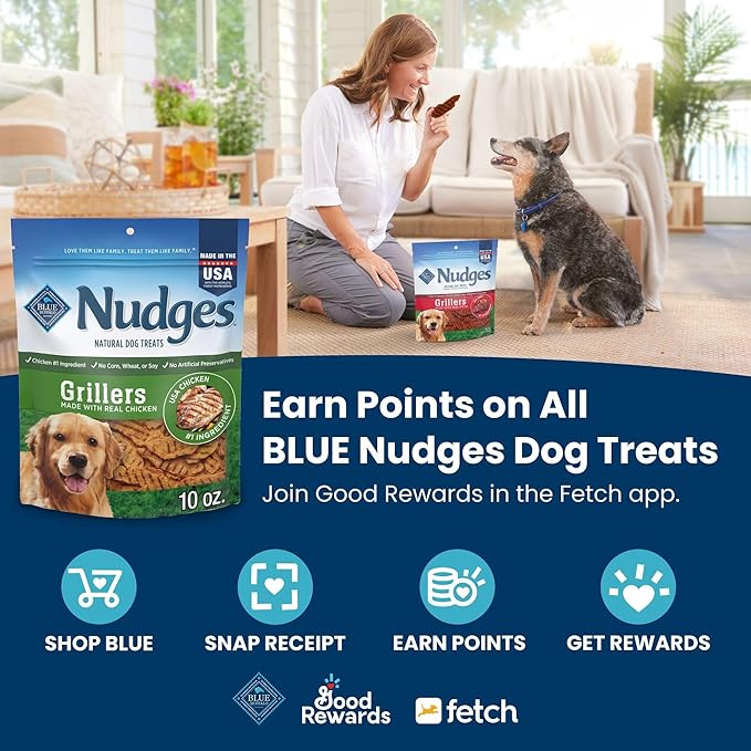 Blue Buffalo Nudges Jerky Cuts Dog Treats, Made in the USA with Natural Ingredients, Steak, 10-oz Bag