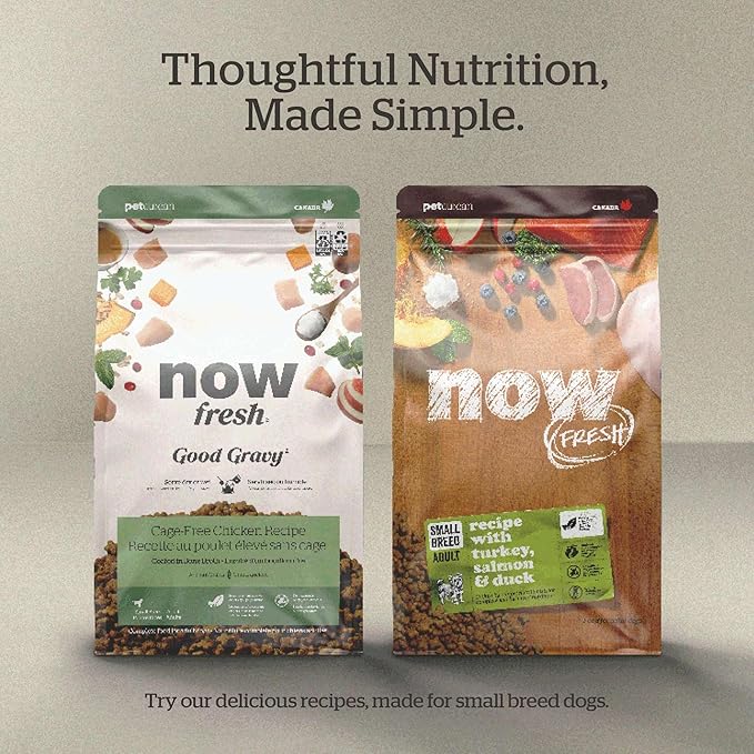 Now Fresh Good Gravy Premium Dry Dog Food with Salmon & Ancient Grains for Small Breeds, Healthy Kibble for Adults Coated in Bone Broth – Just Add Water to Moisten, Chicken-Free, 3.5 lb Bag