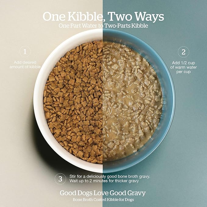 Now Fresh Good Gravy Premium Dry Dog Food with Salmon & Ancient Grains for Small Breeds, Healthy Kibble for Adults Coated in Bone Broth – Just Add Water to Moisten, Chicken-Free, 3.5 lb Bag