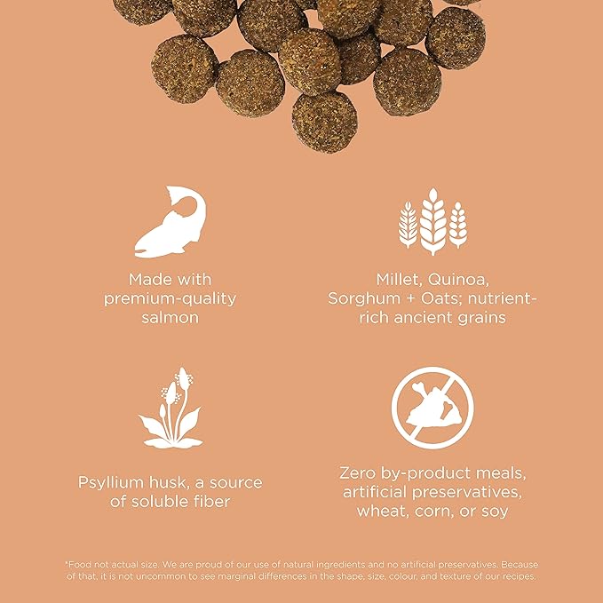 Go! Solutions Digestion + Gut Health, Dry Dog Food, Salmon Recipe with Ancient Grains, 3.5 lb Bag
