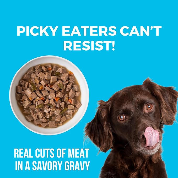 KOHA Greek Island Grill Stew for Dogs with Chicken and Lamb, High Protein Wet Dog Food, 12.7oz Cans (Case of 12)