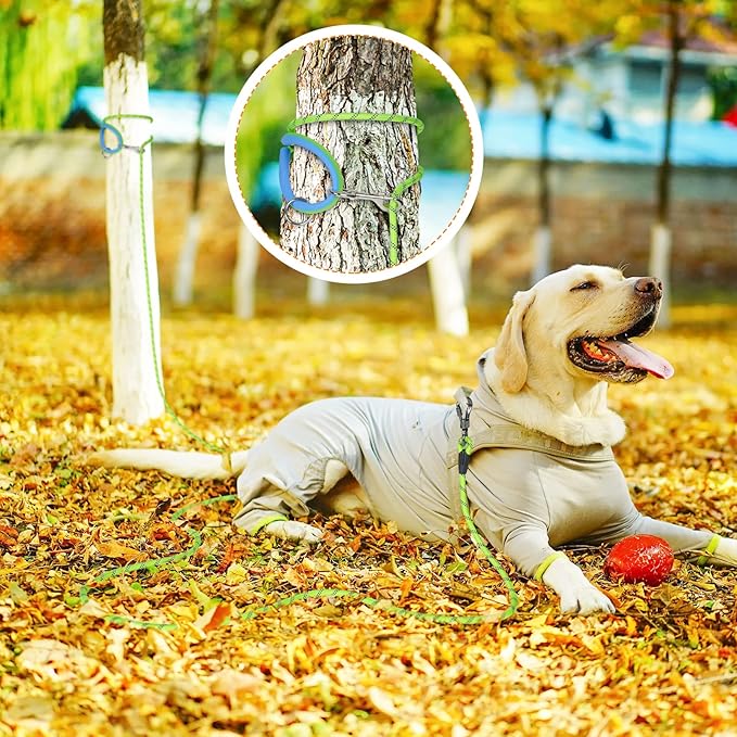 NTR 100FT Leashes for Large Breed Dogs, Long Leash with 2 Swivel Hooks and Comfortable Padded Handle, Puppy Leash Lead for Walking, Hunting, Camping, Backyard for Small Medium and Large Dogs
