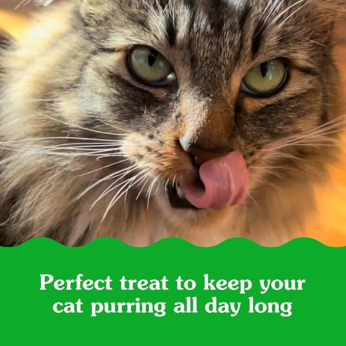 Greenies Feline Smartbites Skin & Fur Health Crunchy and Soft Cat Treats, Chicken Flavor, 2.1 oz. Pack