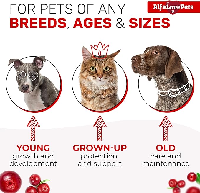 Liquid Multivitamin for Dogs β Cat Multivitamins for Indoor Cats β 10-in-1 Liquid Dog Vitamins B Complex, C, D3 β Digestion, Urination, Hip & Joint, Skin & Coat β Cranberry Flavor β 2 Oz
