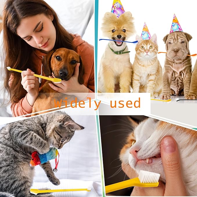 160 Pcs Dog Toothbrush Dual Head Dental Brushes Bulk Pet Tooth Brushing Kit Puppy Long Handle Toothbrush for Large and Small Dogs Cats Most Pets Teeth Cleaning Oral Care Supplies, 8 Colors