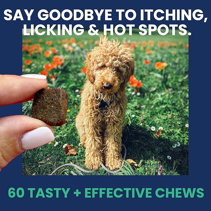 Under the Weather Allergy & Itch Pet Allergy Chews for Dogs | Vet Formulated Skin Support for Canines | Soothing Dog Allergies and Itching Relief Supplement | 60 Count