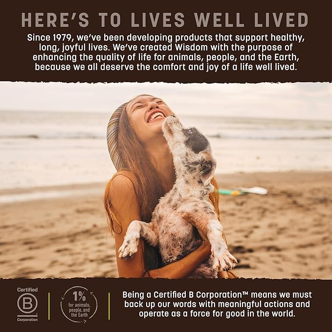 Earth Animal Wisdom Air-Dried Jerky from The Seed Recipe | Dog Treats | Dog Snacks | Premium Natural Plant-Based Jerky Strips | 4 oz |Made in The USA (Pack of 3)