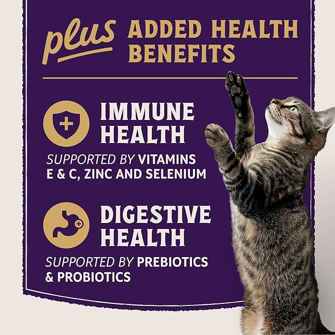 Natural Balance Ultra Protein Plus Dry Cat Food, Immune & Digestive Health Real Chicken & Chicken Meal Recipe with Nutrient-Rich Organs, High Protein Cat Food for Picky Cats - 5 lbs.