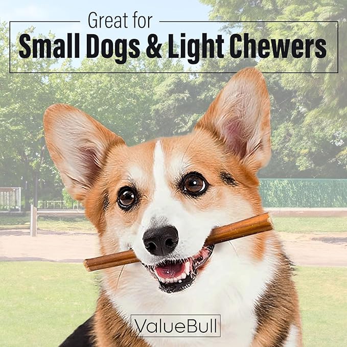 ValueBull Bully Sticks for Small Dogs, Thin 6 Inch, 400 Count Wholesale Pack - All Natural, Grass Fed, Single Ingredient, Long Lasting Dog Treats