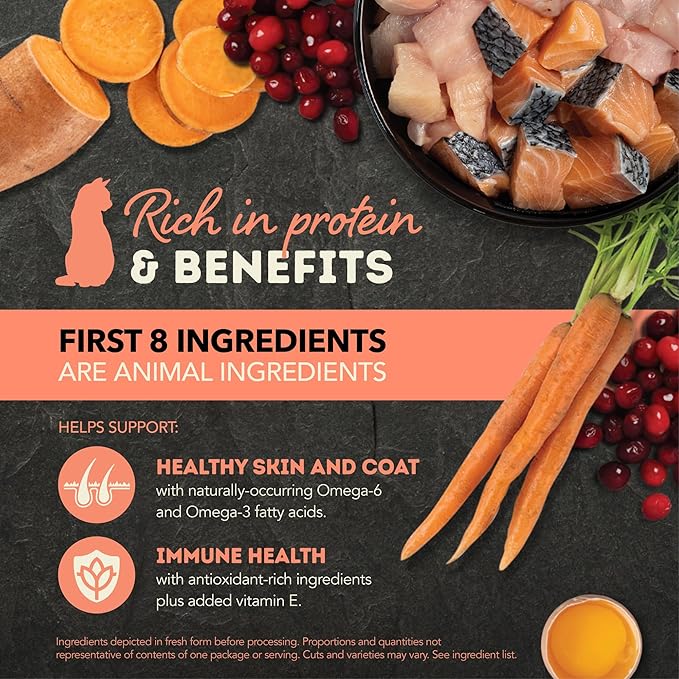 ACANA Chunks in Broth Wet Cat Food Salmon & Chicken Recipe 5.5oz Cans (6 Count)
