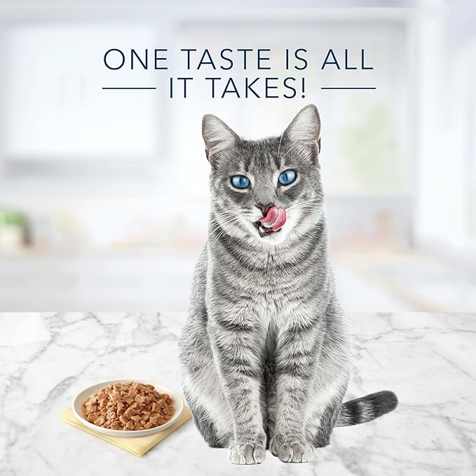Blue Buffalo Tastefuls Natural Flaked Wet Cat Food, Chicken Entrée in Gravy 5.5-oz cans (Pack of 24)