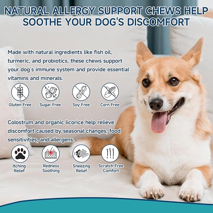 200 Dog Allergy Chews Anti-Itch for Dogs, Dog Allergy Relief Chews for Dogs Itching Skin Relief, Skin & Coat Supplement, Omega 3 Fish Oil, Turmeric & Colostrum Immune Support, Hot Spots, Paw Licking