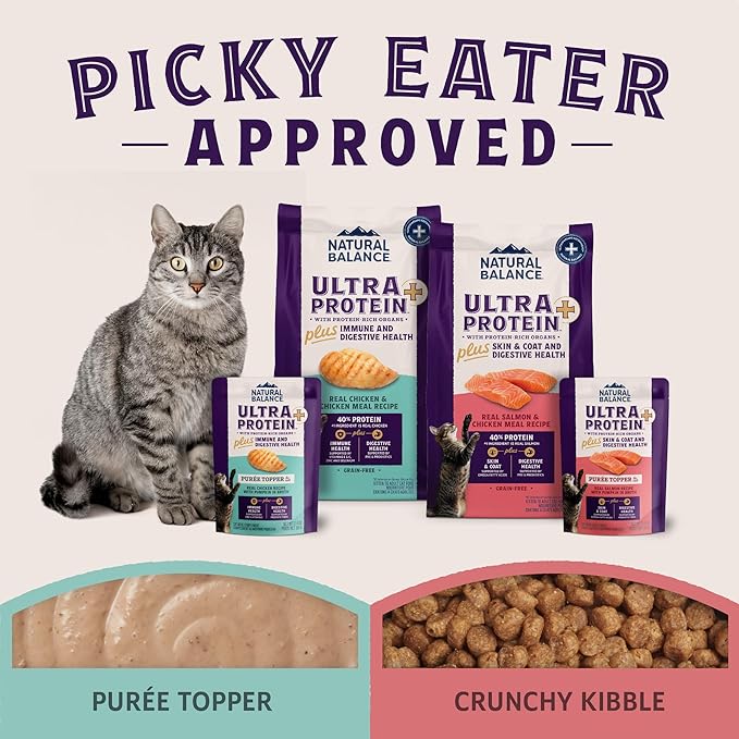 Natural Balance Ultra Protein Plus Wet Cat Food, Skin & Coat and Digestive Health Real Salmon With Pumpkin Puree Topper With Chicken Liver & Chicken Heart, High Protein Cat Food - 2.4 oz. (Pack of 24)