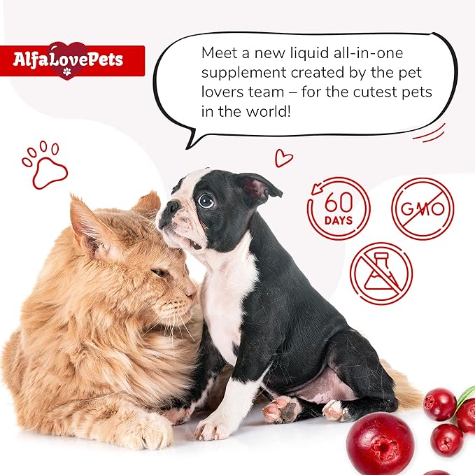 Liquid Multivitamin for Dogs β Cat Multivitamins for Indoor Cats β 10-in-1 Liquid Dog Vitamins B Complex, C, D3 β Digestion, Urination, Hip & Joint, Skin & Coat β Cranberry Flavor β 2 Oz