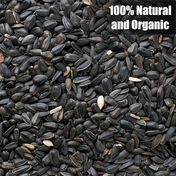 Wildlife Black Oil Sunflower Seeds for Birds and Wildlife, Non-GMO & USA Grown on Small Farms (12 lbs)