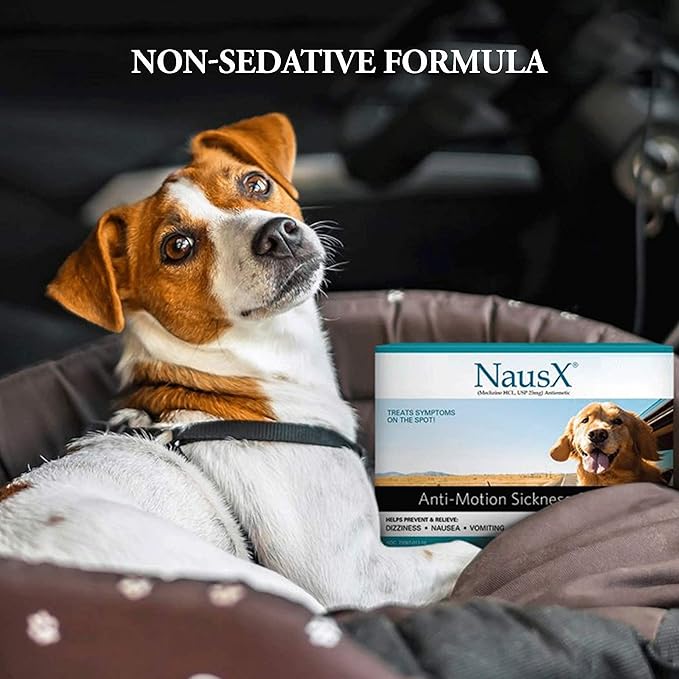 Anti-Motion Sickness and Nausea Relief for Small Breed Dogs, Relief for Disorientation and Dizziness, 10 Tablets