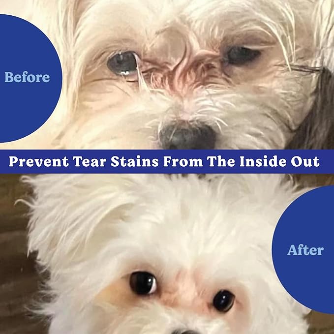 ANGELS' EYES Natural Tear Stain Prevention Soft Chews for Dogs | Chicken Flavor| For All Breeds | No Wheat No Corn | Daily Supplement | Proprietary Formula, 90 Count