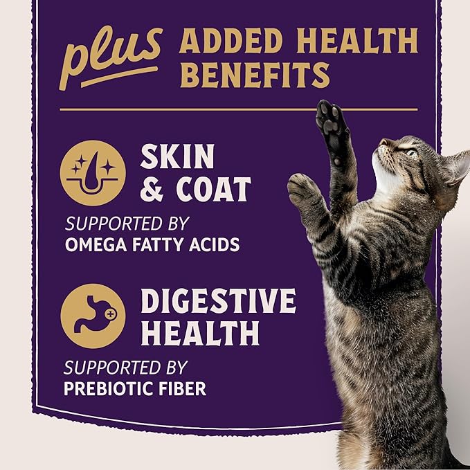 Natural Balance Ultra Protein Plus Wet Cat Food, Skin & Coat and Digestive Health Real Salmon With Pumpkin Puree Topper With Chicken Liver & Chicken Heart, High Protein Cat Food - 2.4 oz. (Pack of 24)