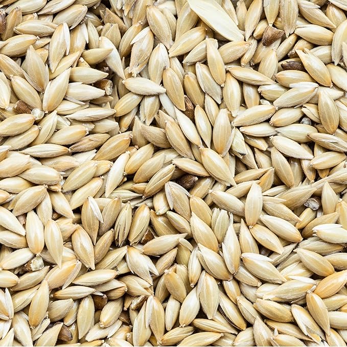 Unida Alpiste Canary Seeds for Birds - 10 lbs, 100% Natural, Non-GMO, No Additives, Bulk Wild Bird Feed