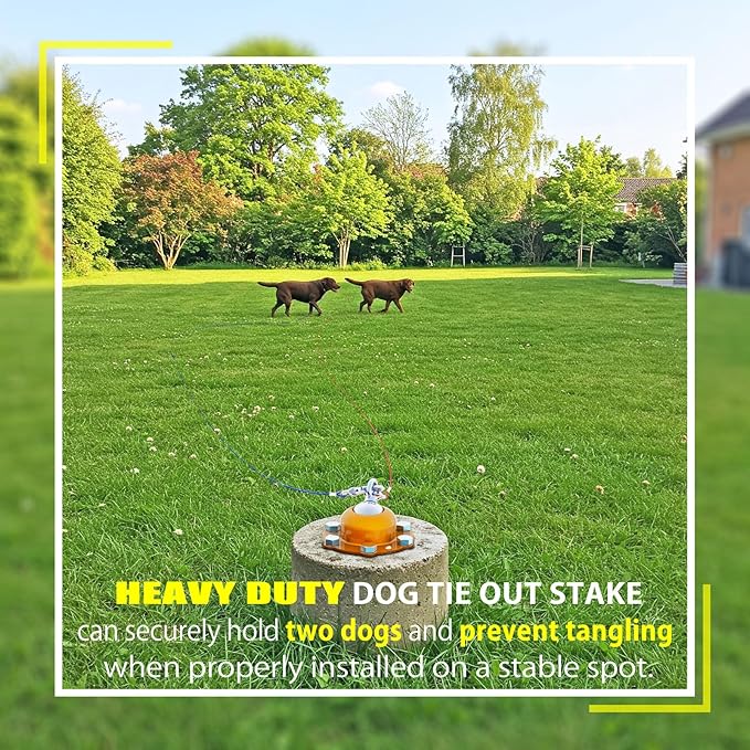 360° Swivel Dog Tie Out Stake with Upgrade 6 Screw Dog Anchors, Heavy Duty & Rust Proof Dog Stake Can Holds 1000Lbs of Pull Force, Up to 150lbs Dogs Perfect to Camping Yard Outdoor (Orange)