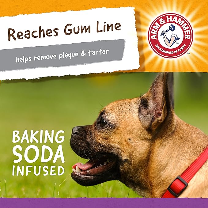 Arm & Hammer for Pets Super Treadz Mini Gator Dental Chew Toy for Dogs Best Dental Dog Chew Toy Dog Dental Chew Toys Reduce Plaque & Tartar Buildup Without Brushing (Pack of 24)