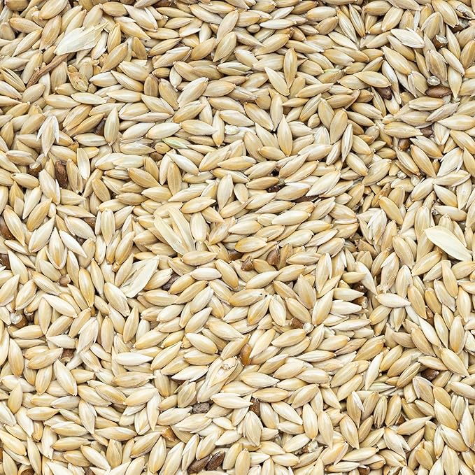 Unida Alpiste Canary Seeds for Birds - 10 lbs, 100% Natural, Non-GMO, No Additives, Bulk Wild Bird Feed