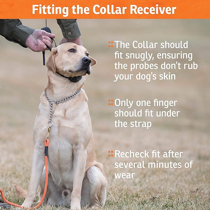 SportDOG Brand NoBark 10 Collar, Dog Bark Collars, Rechargeable, Programmable Bark Collar, Silent Partner Technology, Two Modes of Operation, Waterproof Collar (Black)