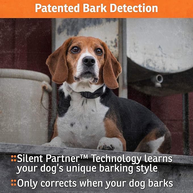 SportDOG Brand NoBark 10 Collar, Dog Bark Collars, Rechargeable, Programmable Bark Collar, Silent Partner Technology, Two Modes of Operation, Waterproof Collar (Black)