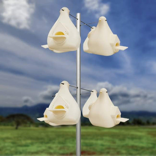 Wild Bird Lover's Deluxe Purple Martin Gourds and Pole Package
