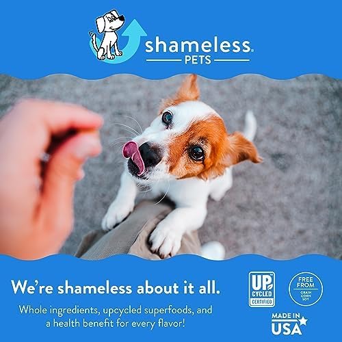 Shameless Pets Soft-Baked Dog Treats - Pumpkin Goat's Milk Latte Grain-Free Dog Snacks for Medium & Large Dogs, Natural & Healthy Dog Chews, Doggy Treats for Older & Senior Dogs, Made in USA
