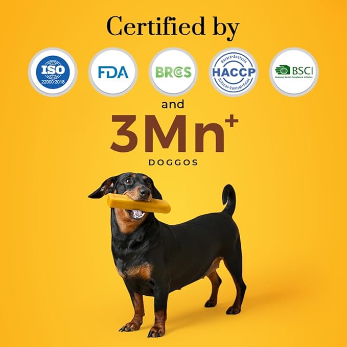 Dogsee Himalayan Yak Cheese Dog Chews with Turmeric/Curcumin (Medium - 2 Chews) | All Natural Long Lasting | Anti-inflammatory | Odorless High Protein Chew | Dog Treats for Active Chewers