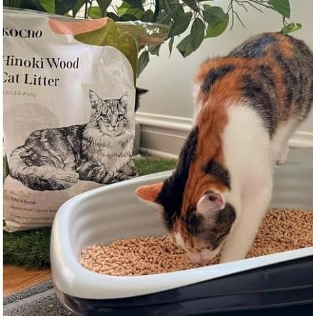 KOCHO Hinoki Wood Cat Litter Ultra Lightweight, Fresh Scent of Japanese Cypress (7pcs Pack (23.8LB))