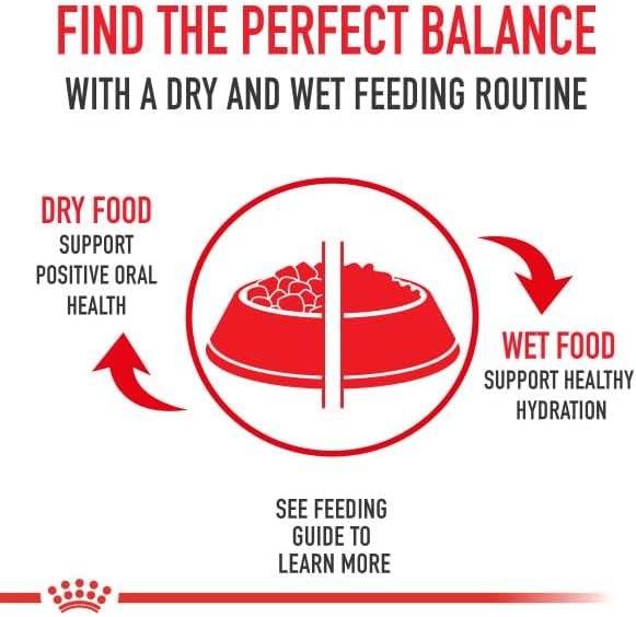 Royal Canin Breed Health Nutrition Chihuahua Adult Loaf in Sauce Wet Dog Food, 3 oz can (4-pack)