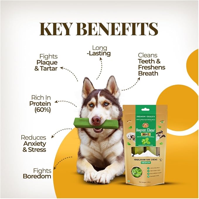Dogsee Mint Flavor Himalayan Yak Chews for Dogs (Monster - 3 Bars) | Aid Digestion | Dog Chews for Teeth Cleaning | Odorless Dog Treats | Rawhide Free | Long Lasting