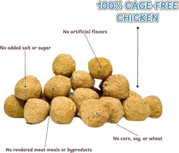 Tank’s Freeze Dried Chicken Meatballs – Cage-Free Chicken, Single-Source Protein, Grain-Free, No Preservatives or Byproducts – Natural Dog Treats for All Breeds – 4 oz Pouch