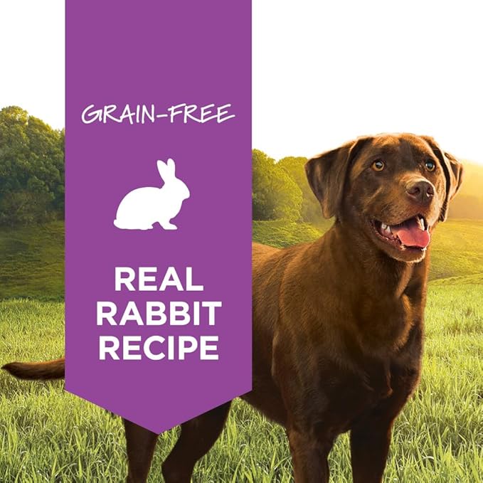 Instinct Original Wet Dog Food, Grain Free Recipe - Real Rabbit, 13.2 oz. Cans (Pack of 6)