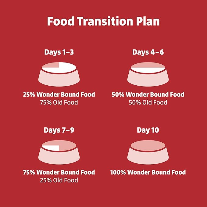Amazon Brand - Wonder Bound Small Breed Wet Dog Food, Beef Recipe, Loaf in Gravy, 3.5 Ounce (Pack of 12)