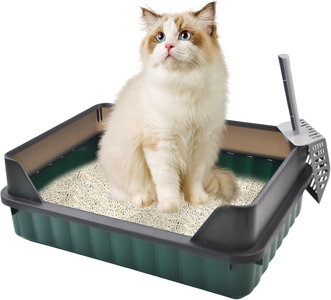 Cat Litter Boxes Large,Kitty Litter Box Low Entry High Sides,Semi Enclosed Front Entry Cat Pan Anti-Splashing Detachable Kitten Toilet with Scoop (Green)