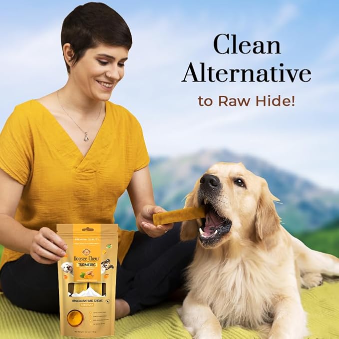 Dogsee Himalayan Yak Cheese Dog Chews with Turmeric/Curcumin (Medium - 2 Chews) | All Natural Long Lasting | Anti-inflammatory | Odorless High Protein Chew | Dog Treats for Active Chewers