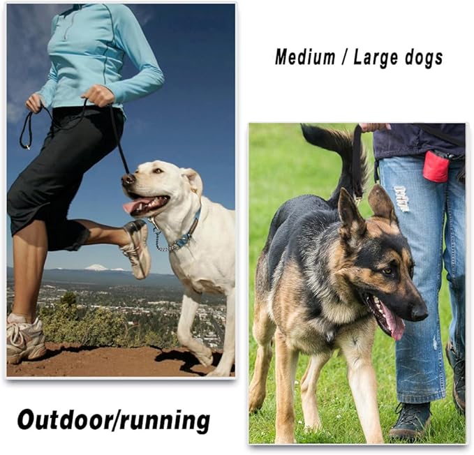 Leather Dog Leash 4ft x 3/4 inch, Heavy Duty Dog Training Leash, Strong Sturdy Genuine Leather Braided Pet Leashes, Soft and Comfortable Pet Lead for Large, Medium Dogs