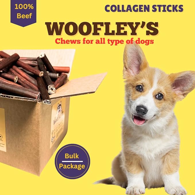 Woofley's 6 Inch Collagen Sticks for Dogs - (100 Count) Bully Stick Rawhide Alternative Dog Chews No Hide Bones for Medium & Large Dogs