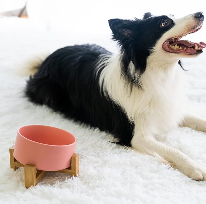 SPUNKYJUNKY 15° Slanted Ceramic Dog and Cat Bowl with Wooden Stand, Tilted Bulldog Food and Water Bowl No Slip Non-Spill for Cats Medium Dogs Big Face Pets 28.7 OZ (3.6 Cups,Pink)