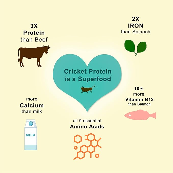 Orange Joint, Skin & Fur Care Cricket & Salmon Protein Dog Treats : High-Protein Dental Snacks, Hypoallergenic, Meat Free, Soft Type (14 Pcs)