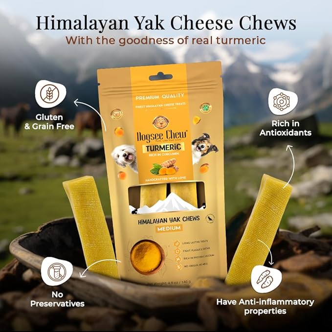 Dogsee Himalayan Yak Cheese Dog Chews with Turmeric/Curcumin (Medium - 2 Chews) | All Natural Long Lasting | Anti-inflammatory | Odorless High Protein Chew | Dog Treats for Active Chewers