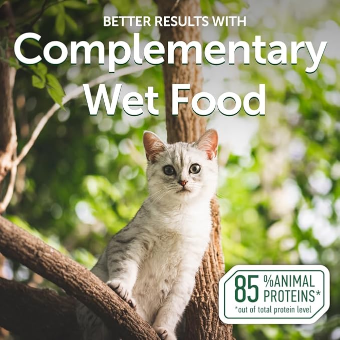 Nature's Protection Superior Care Wet Cat Food - Tuna Fish & Shrimp Cat Food Toppers for Adult Cats, Natural, High Protein, 2.46 oz. Pouches (24-Pack)